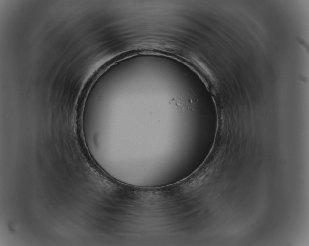 X0000093361020200710191053