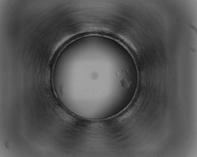 X0000093361021200710191053
