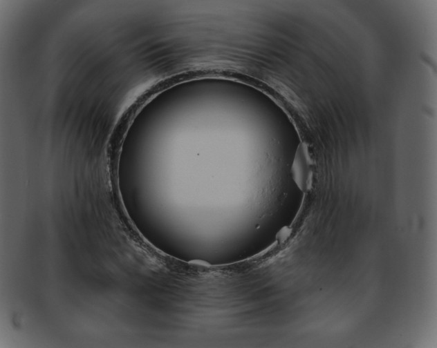 X0000093361022200710191053