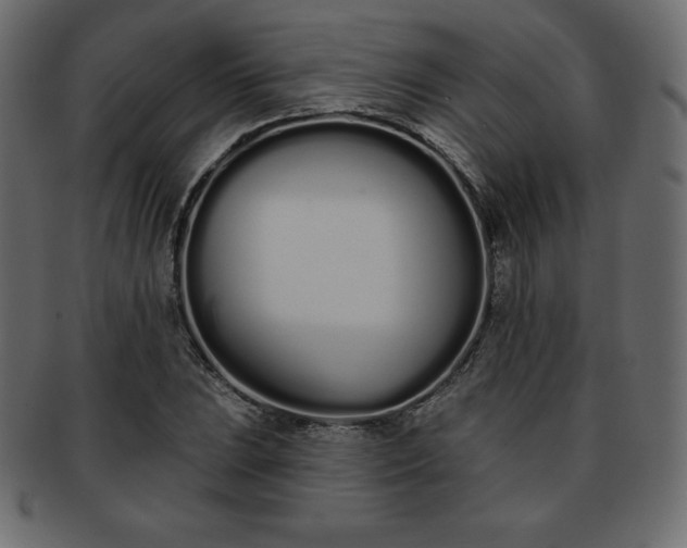 X0000093361023200710191053