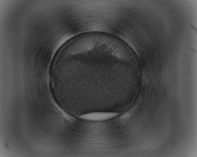 X0000093361024200710191053
