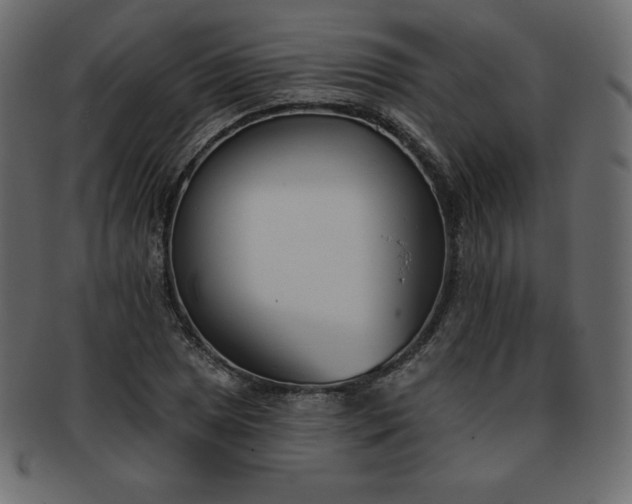X0000093361025200710191053