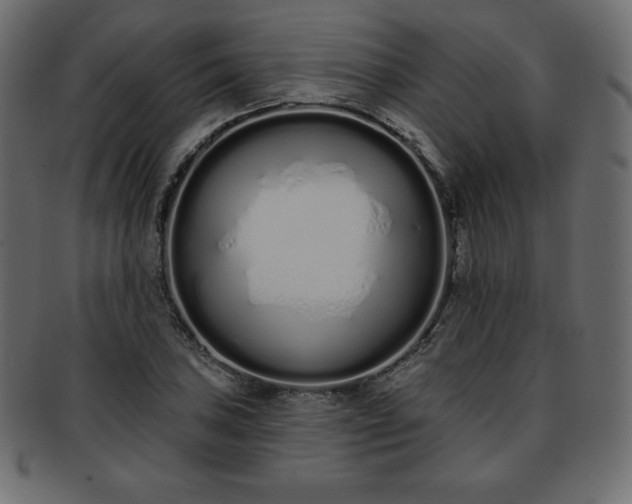 X0000093361027200710191053