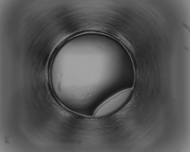 X0000093361028200710191053