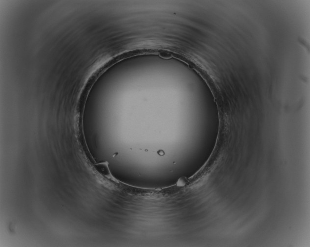 X0000093361029200710191053