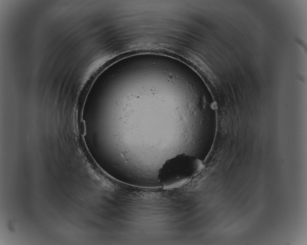 X0000093361030200710191053