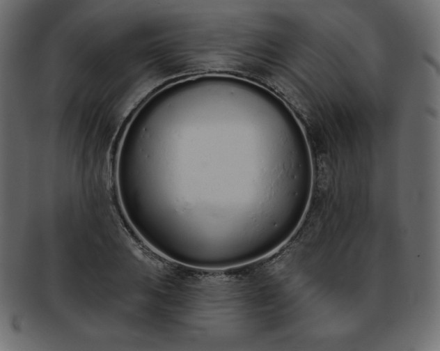 X0000093361031200710191053