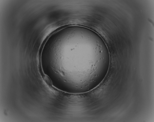 X0000093361032200710191053