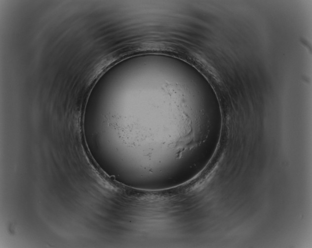 X0000093361033200710191053