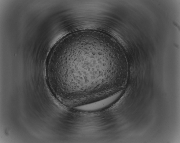 X0000093361034200710191053