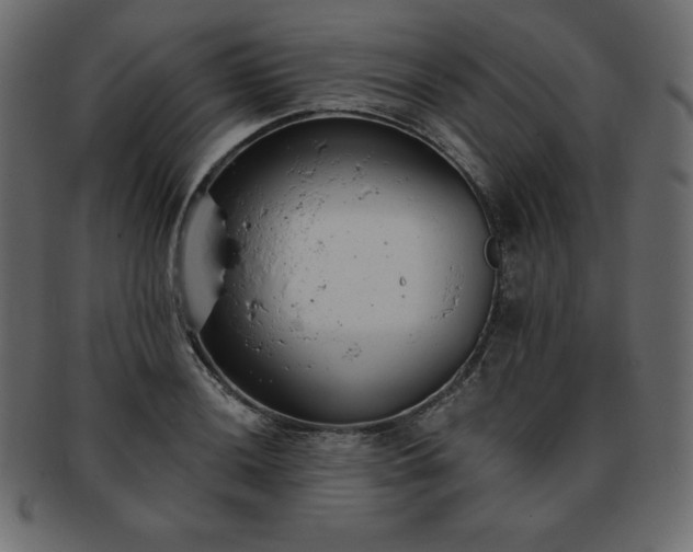 X0000093361036200710191053