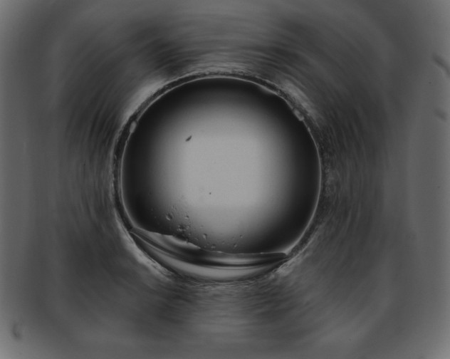 X0000093361038200710191053