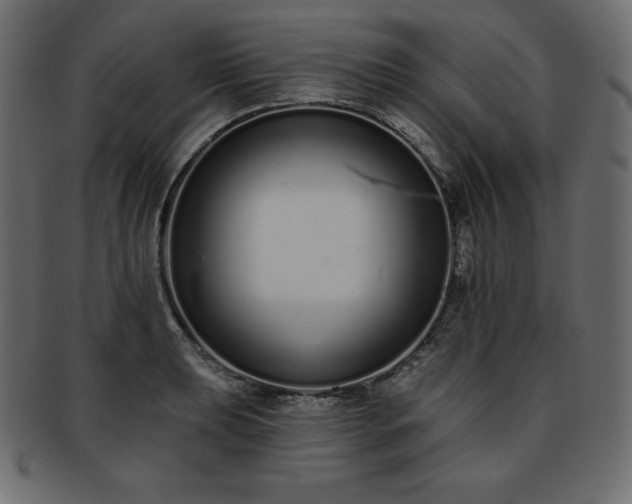X0000093361039200710191053