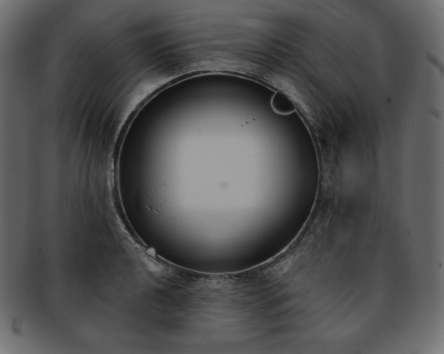 X0000093361040200710191053