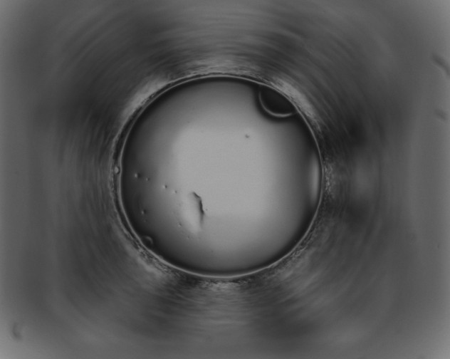 X0000093361043200710191053