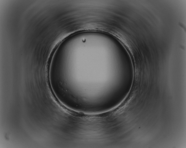 X0000093361045200710191053