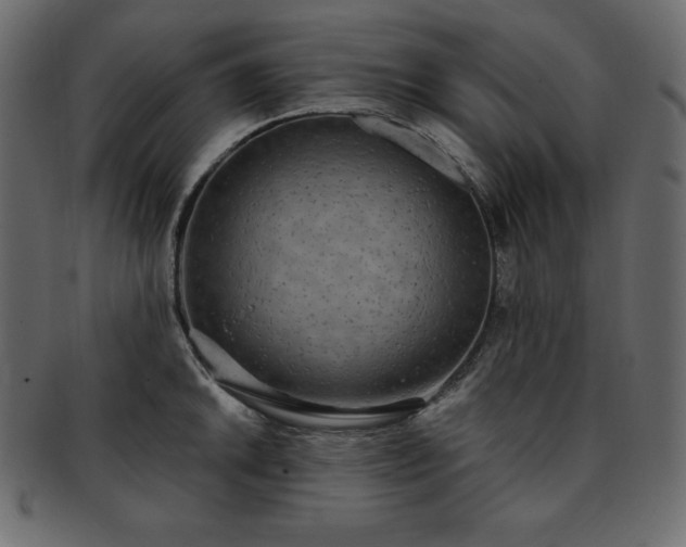 X0000093361046200710191053