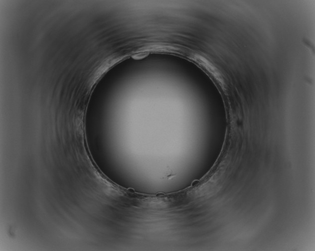 X0000093361049200710191053