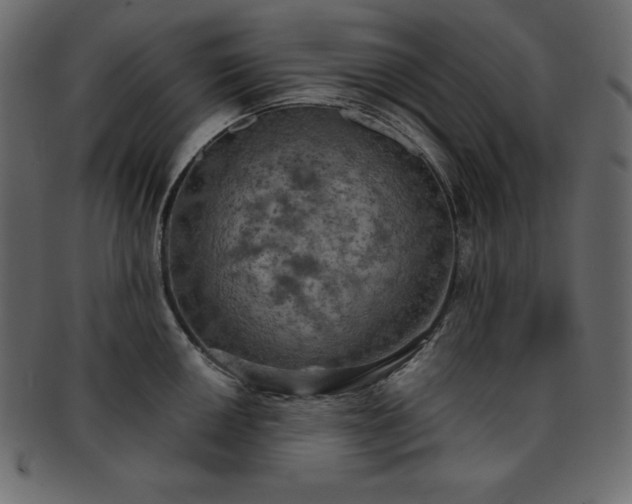 X0000093361050200710191053