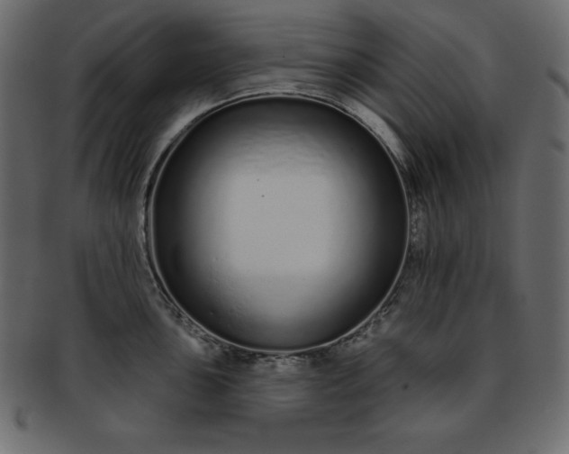 X0000093361051200710191053