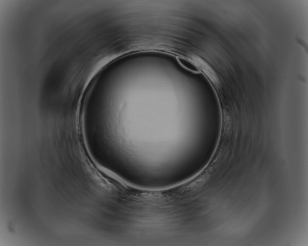 X0000093361052200710191053