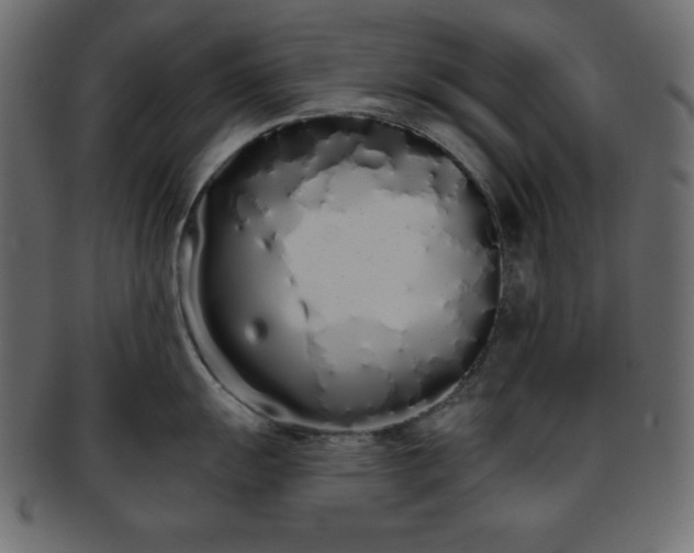 X0000093361055200710191053
