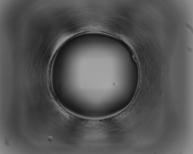 X0000093361056200710191053