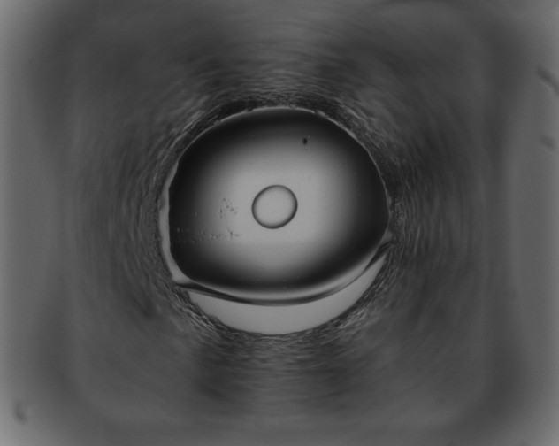 X0000093361057200710191053