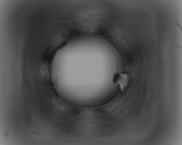 X0000093361058200710191053