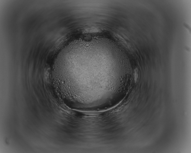 X0000093361059200710191053