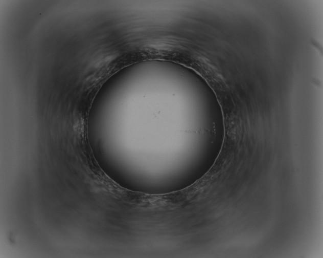 X0000093361061200710191053
