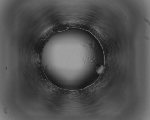X0000093361062200710191053