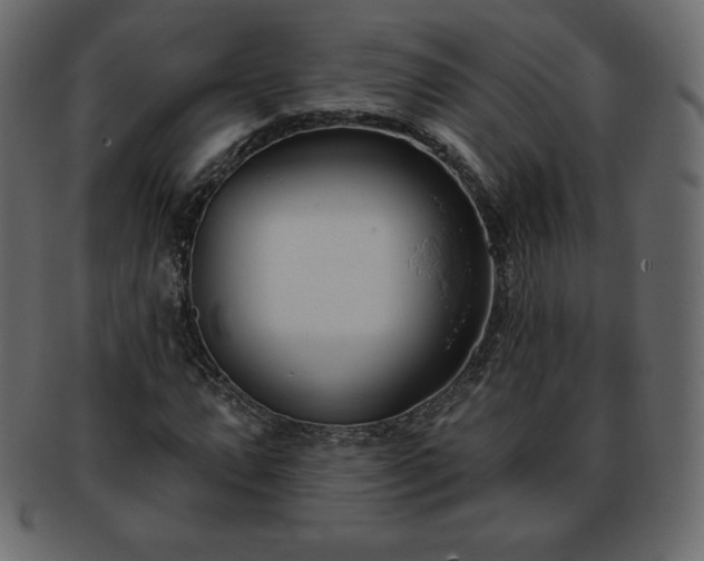 X0000093361064200710191053