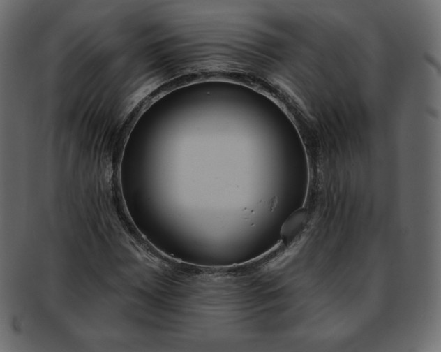 X0000093361065200710191053