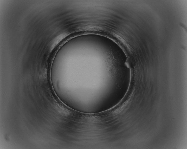 X0000093361066200710191053