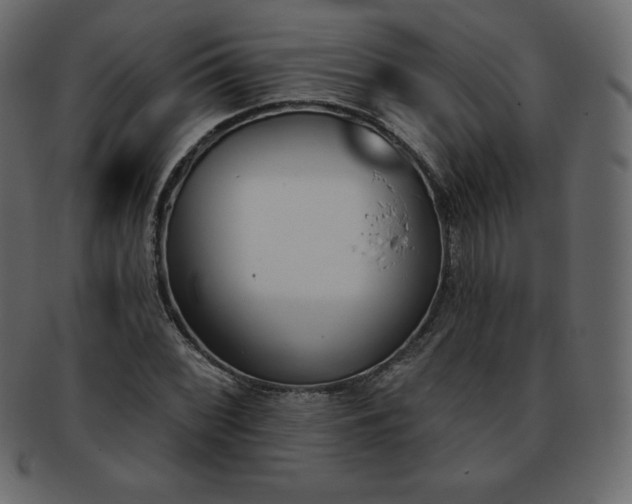X0000093361068200710191053