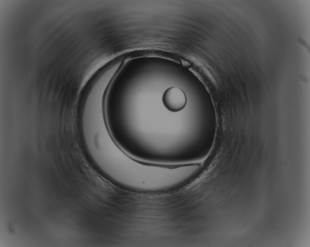 X0000093361069200710191053