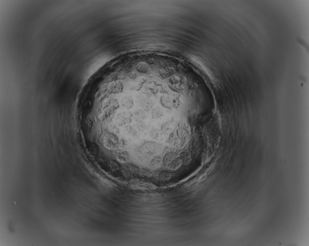 X0000093361071200710191053