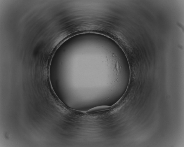 X0000093361073200710191052