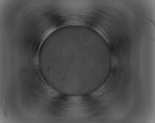 X0000093361074200710191052