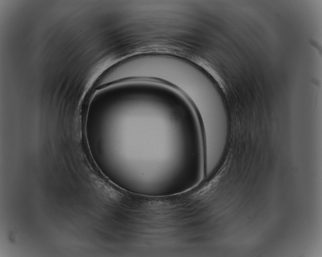 X0000093361075200710191052