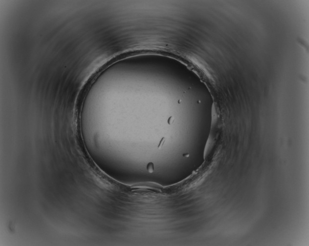 X0000093361077200710191052