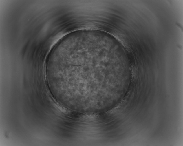 X0000093361078200710191052