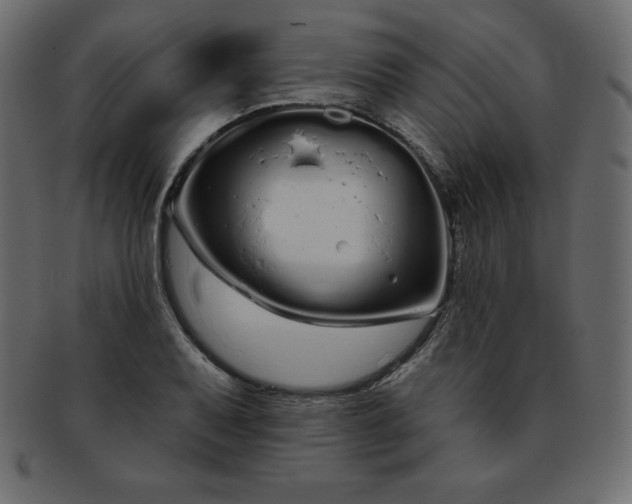 X0000093361079200710191052