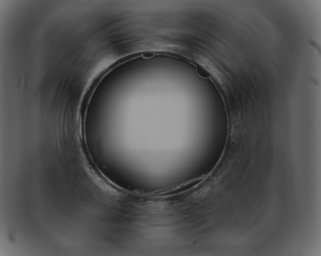 X0000093361080200710191052
