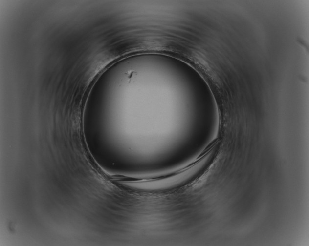 X0000093361081200710191052