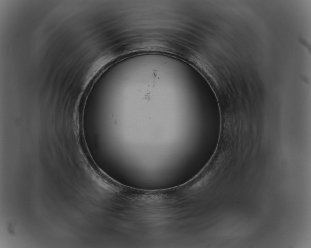 X0000093361082200710191052
