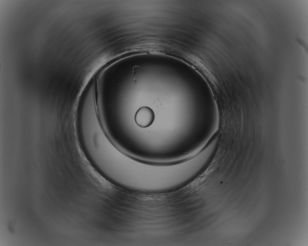 X0000093361083200710191052