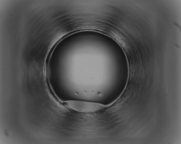 X0000093361084200710191052