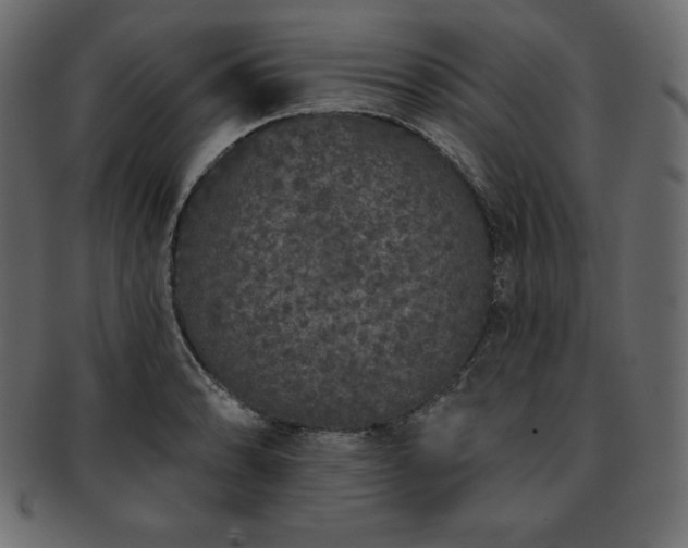 X0000093361086200710191052